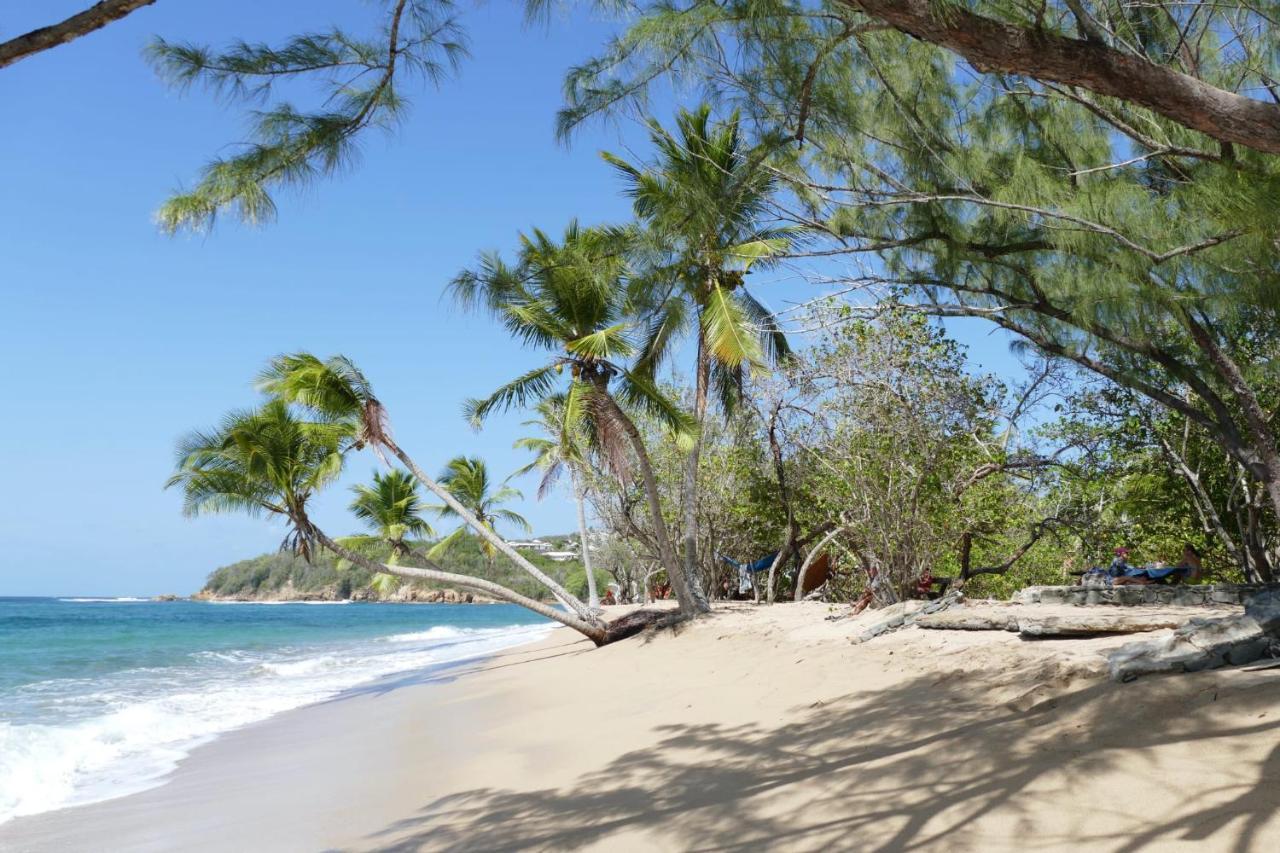 La Villa Caribeenne De La Plage Des Surfeurs La Trinité Exteriör bild